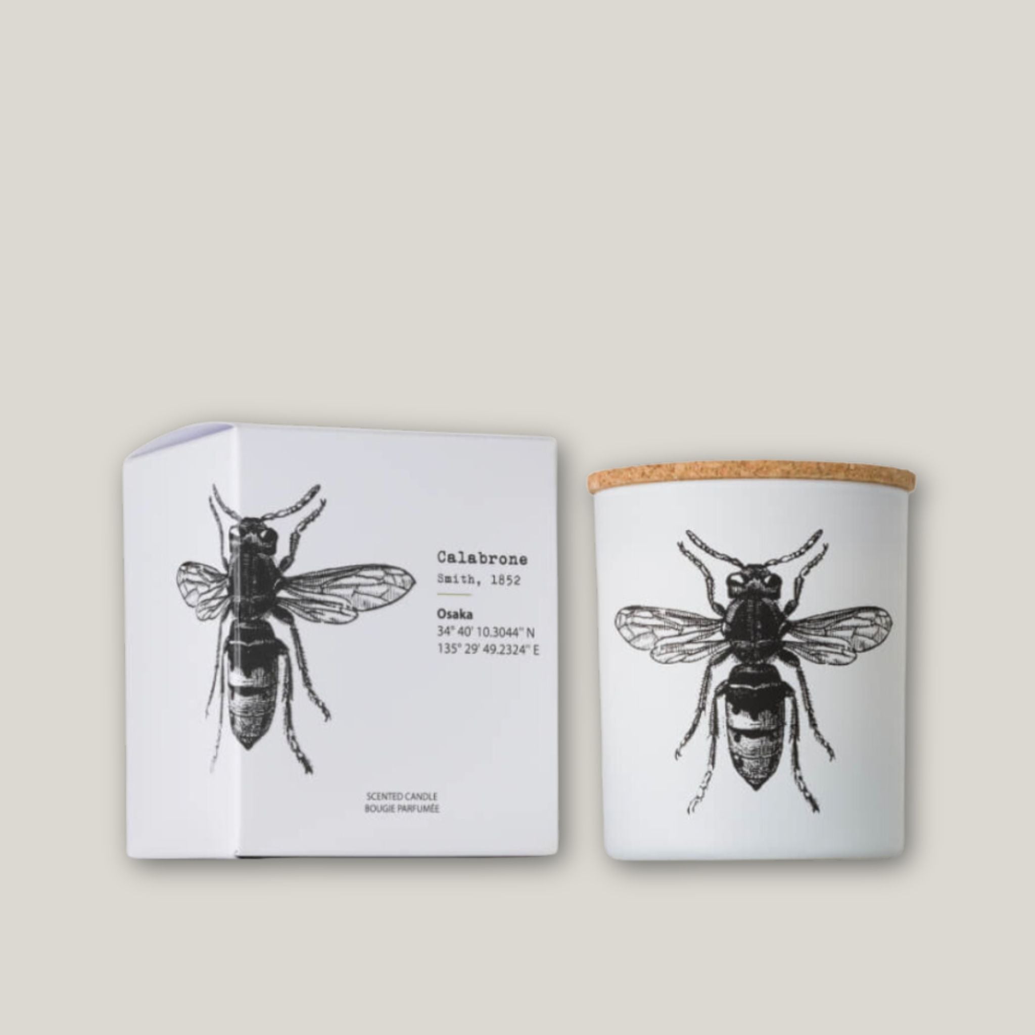 Insect Calabrone Candle
