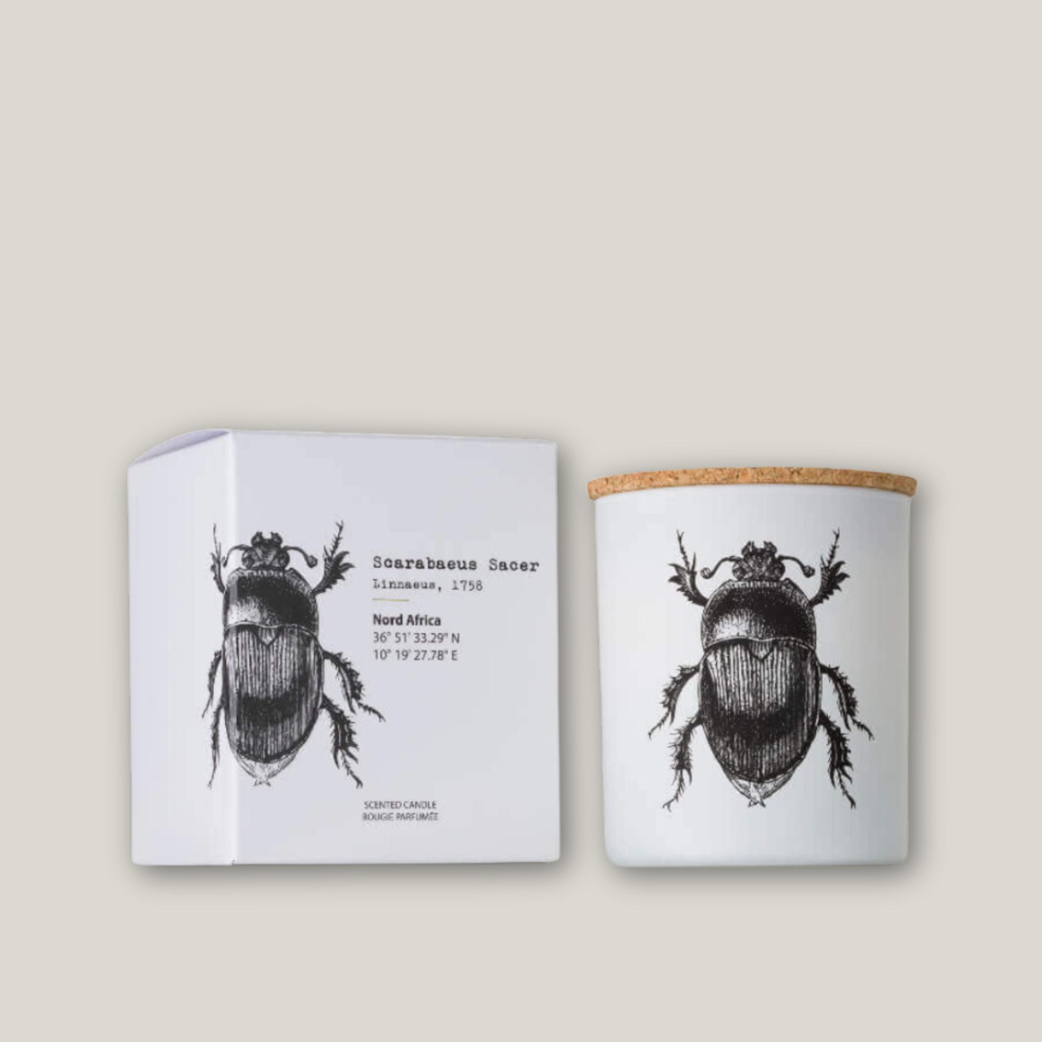 Insect Scarabs Sacer Candle