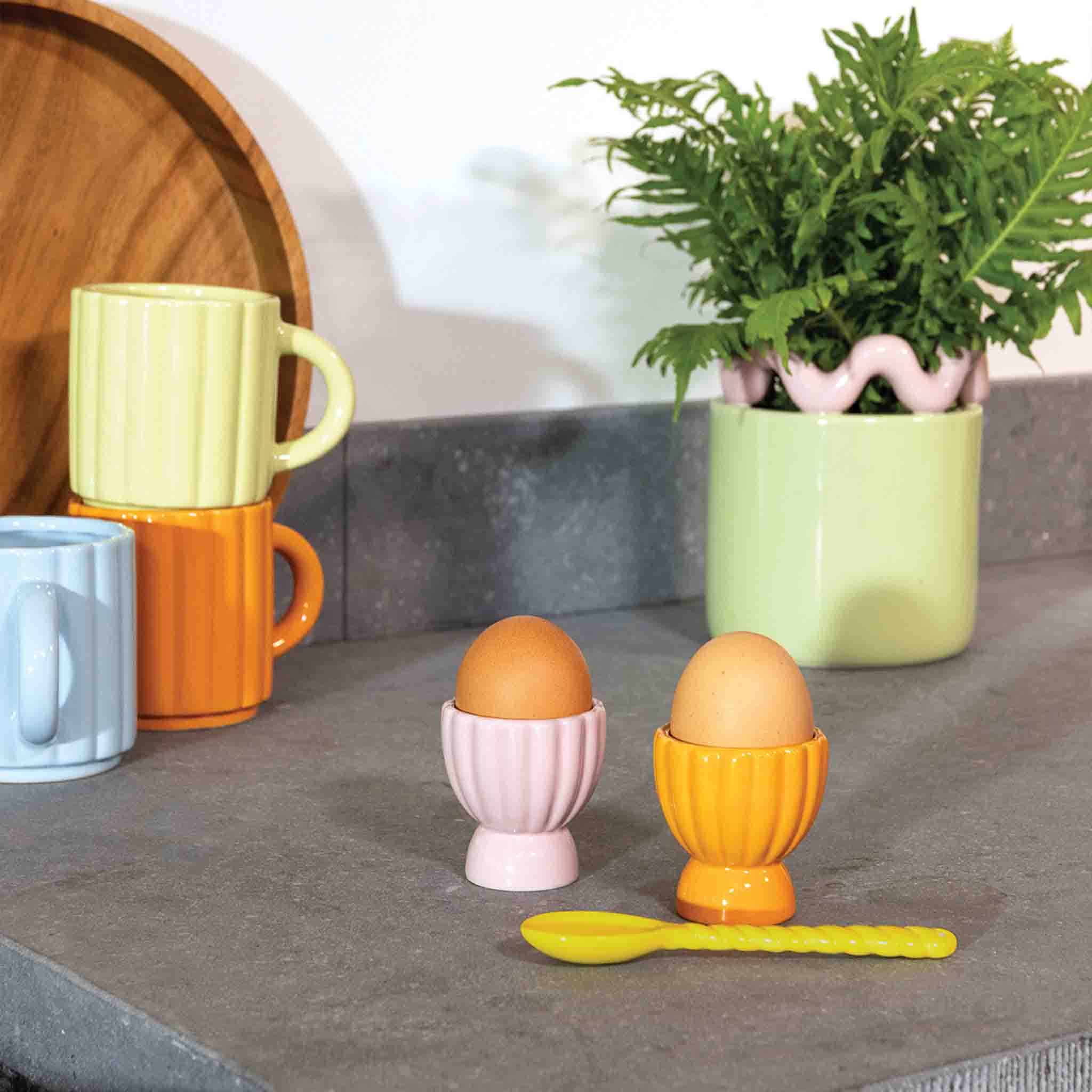 Egg Holder