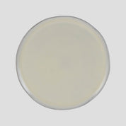 Aveiro Dinner Plate