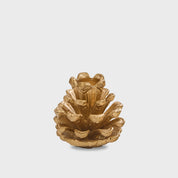 Pinecone Taper Holder