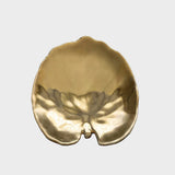 Alchimille Golden Leaf