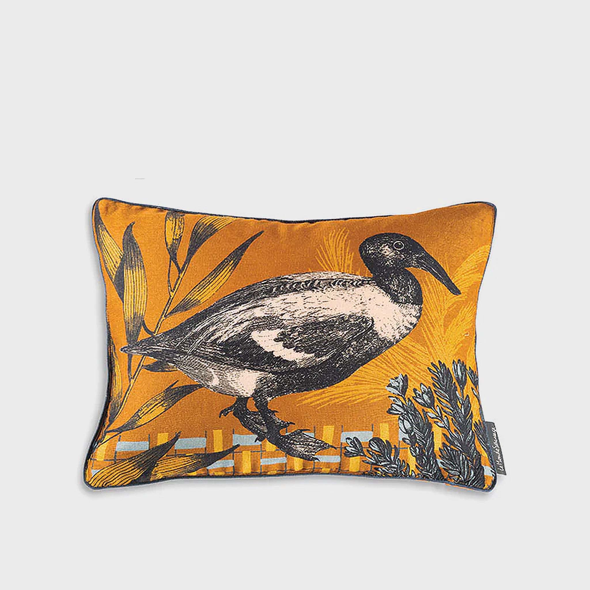 Daffy Cushion