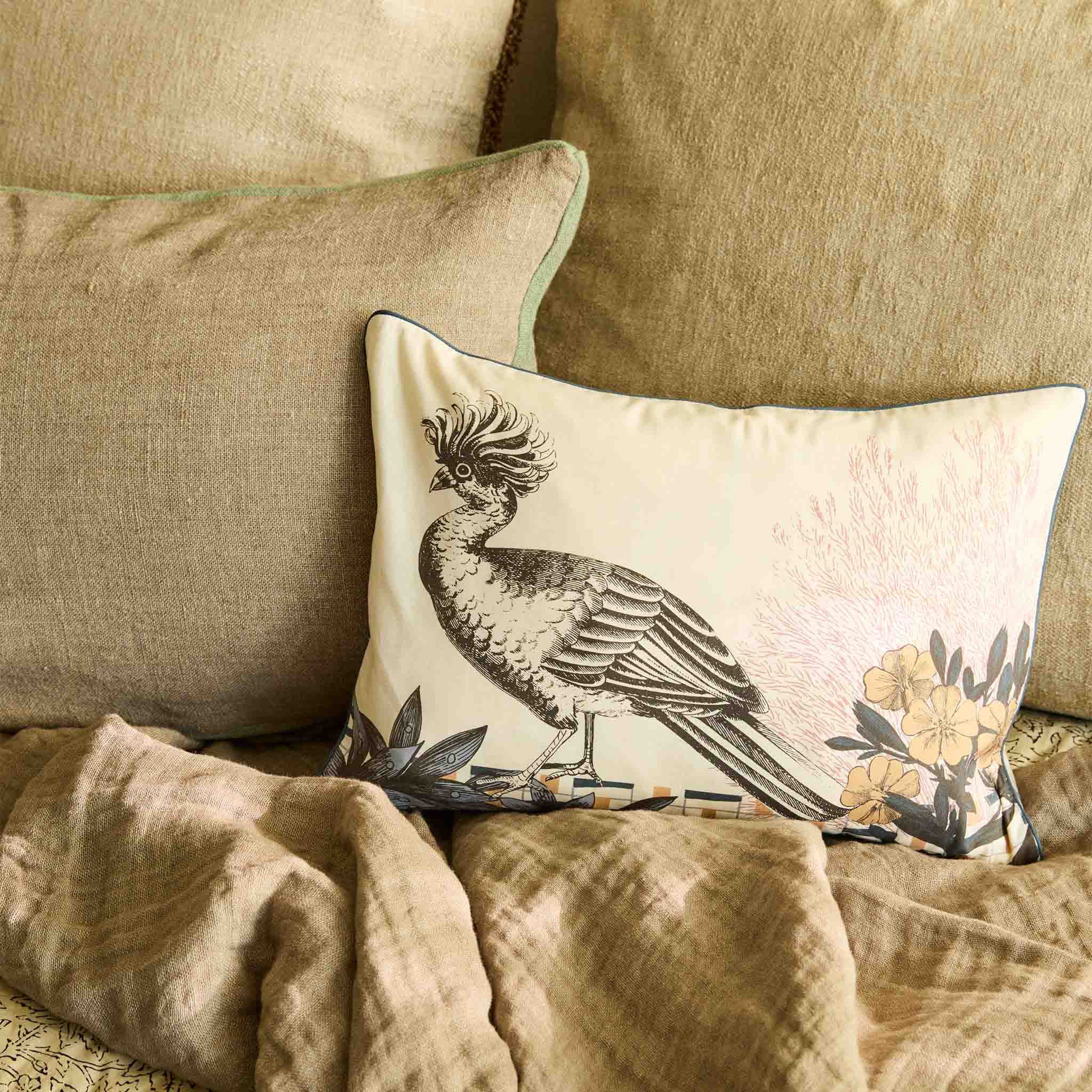 Jim Cushion - Medium