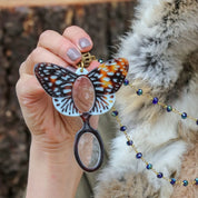 Butterfly Eyeglasses