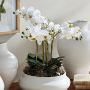 Phalaenopsis Orchid Bowl Drop-in 20"