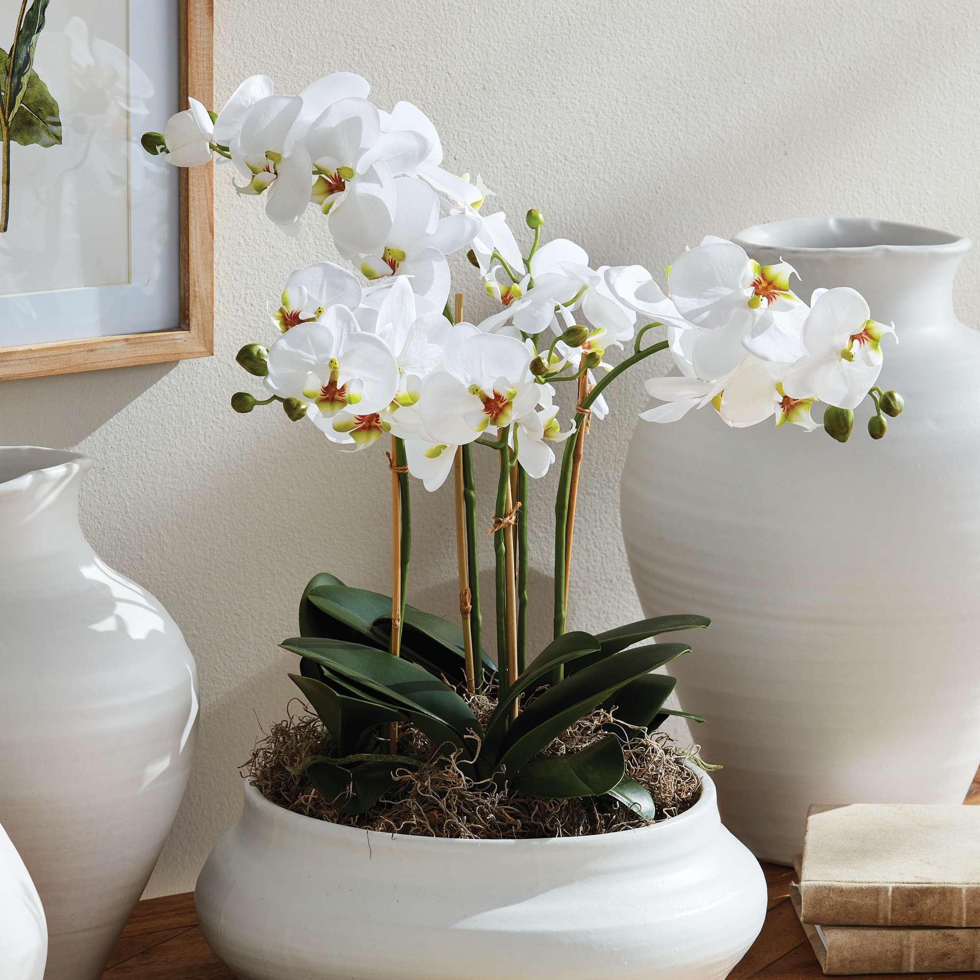 Phalaenopsis Orchid Bowl Drop-in 20"