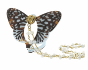 Butterfly Eyeglasses