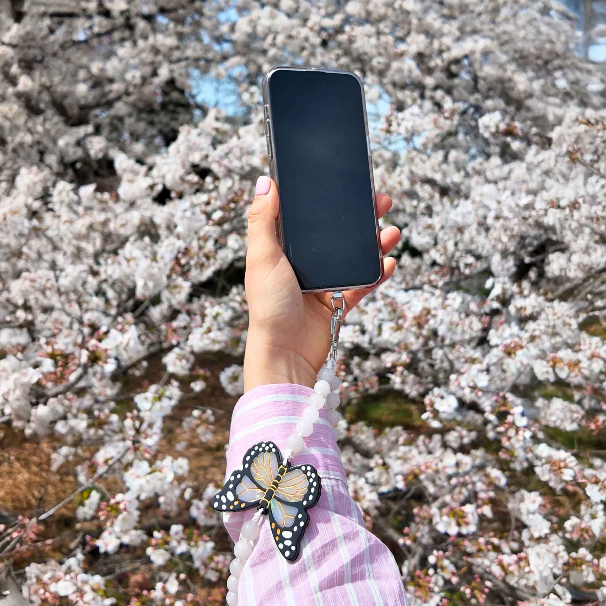 Hand holding a smartphone with a butterfly charm against a cherry blossom background