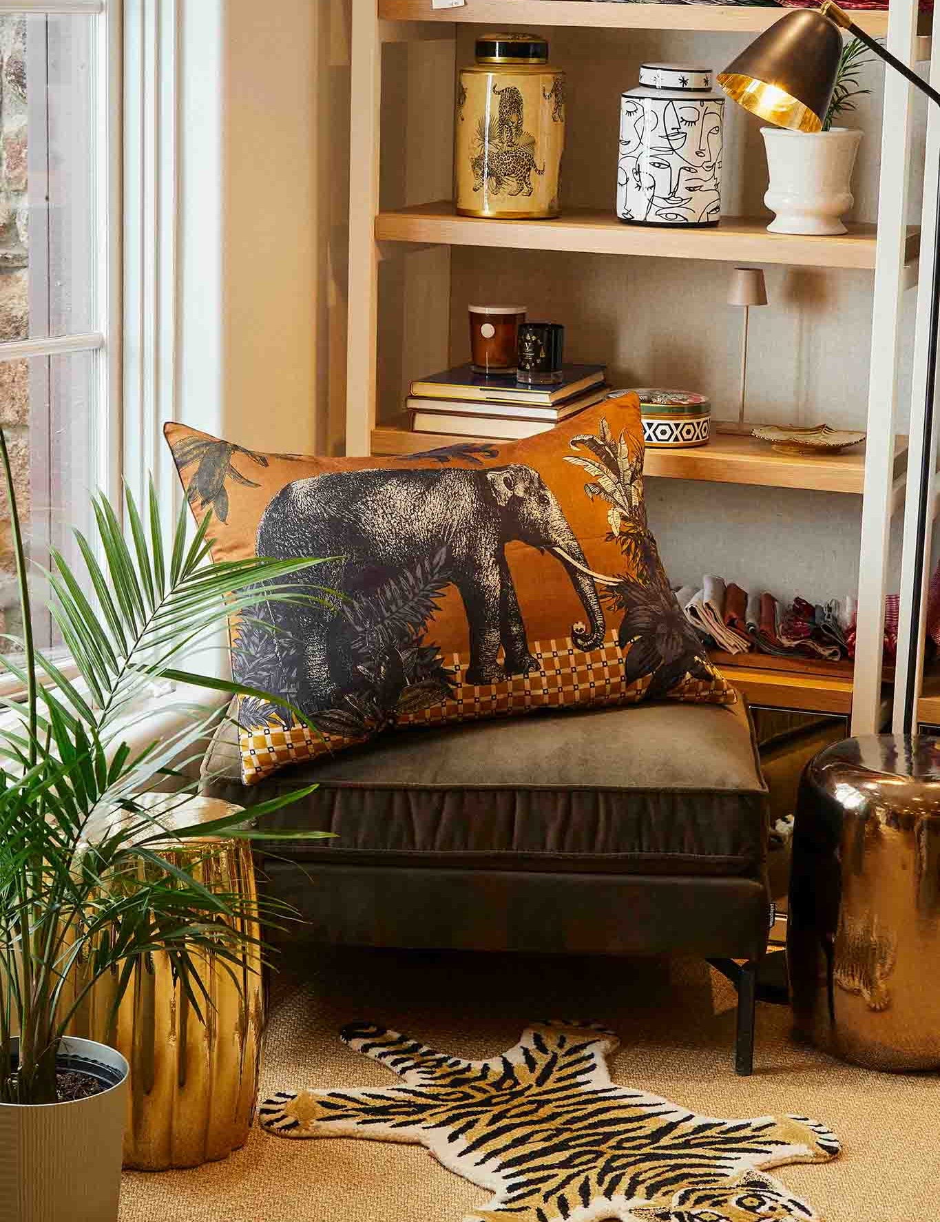 collection_photo_home.jpg