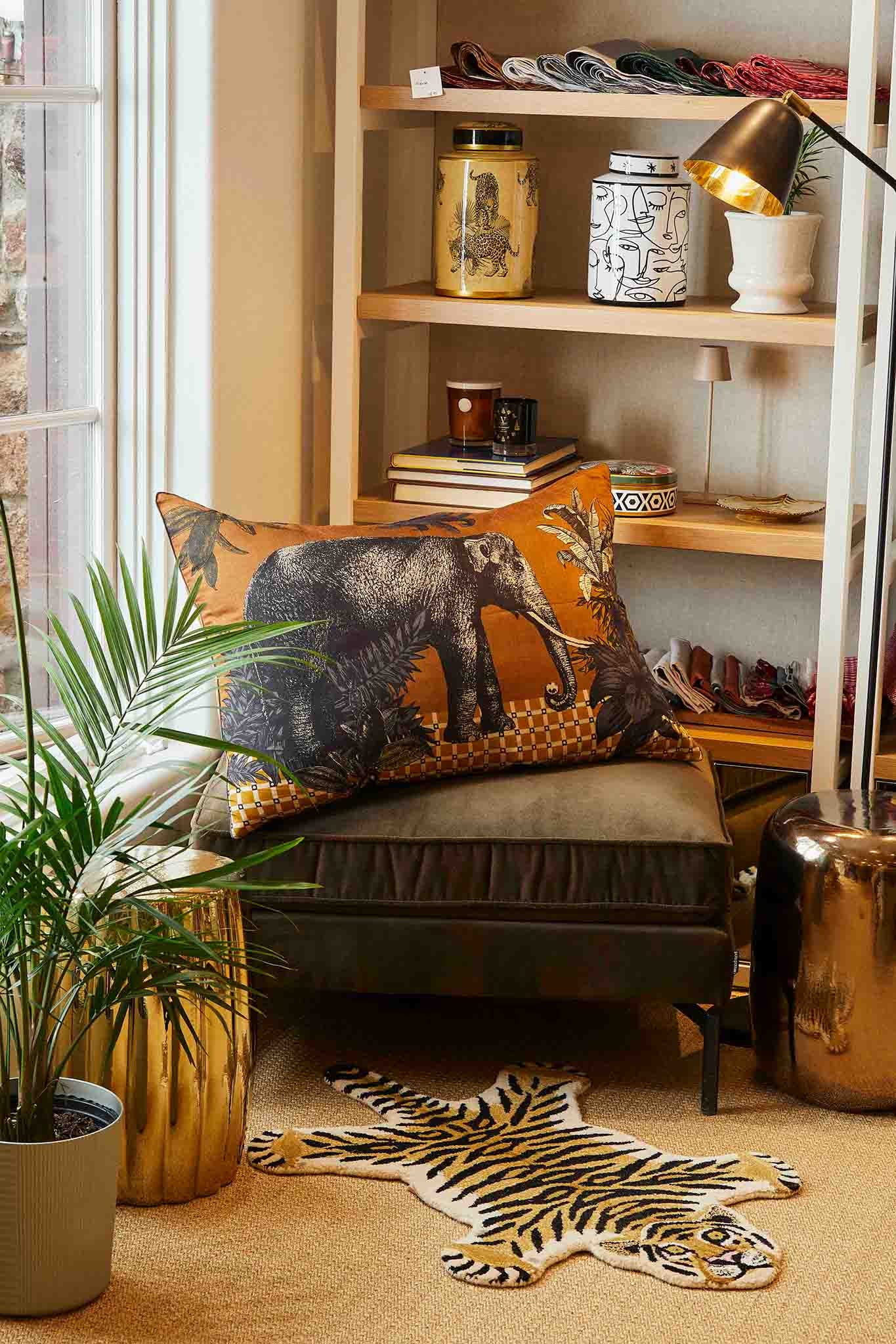 collection_photo_home.jpg