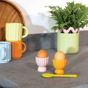 Egg Holder