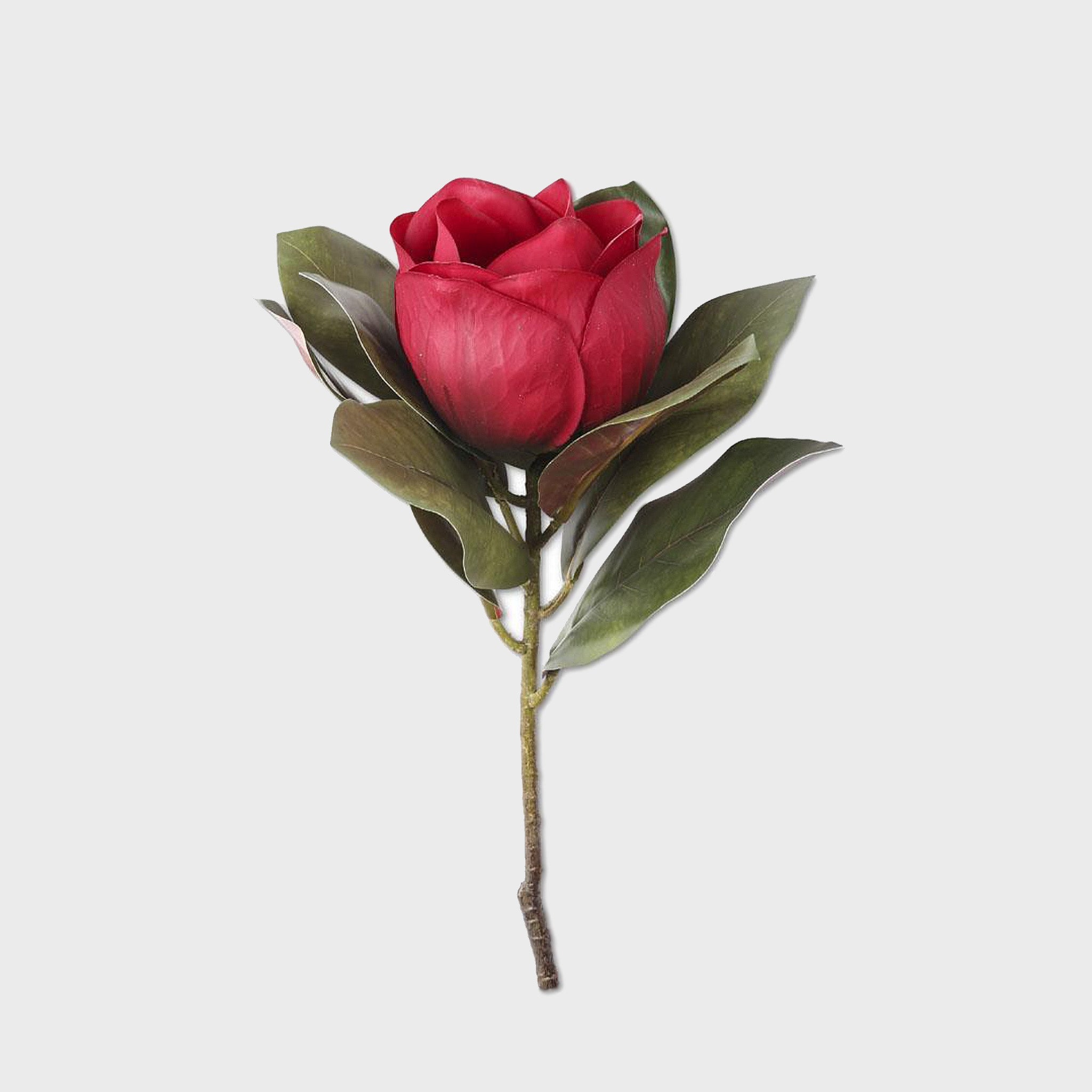 17" Dark Red Magnolia Stem