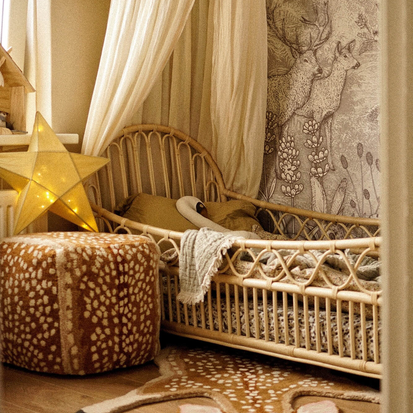 francis-fawn-rug-large-front-doing-goods-1.45.10.075.710.5-giselle1-web.jpg