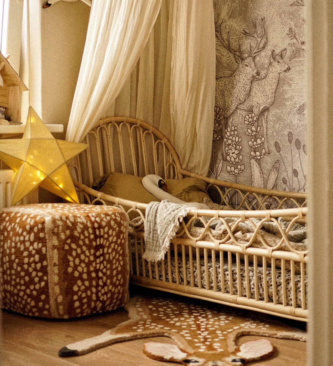 francis-fawn-rug-large-front-doing-goods-1.45.10.075.710.5-giselle1-web.jpg