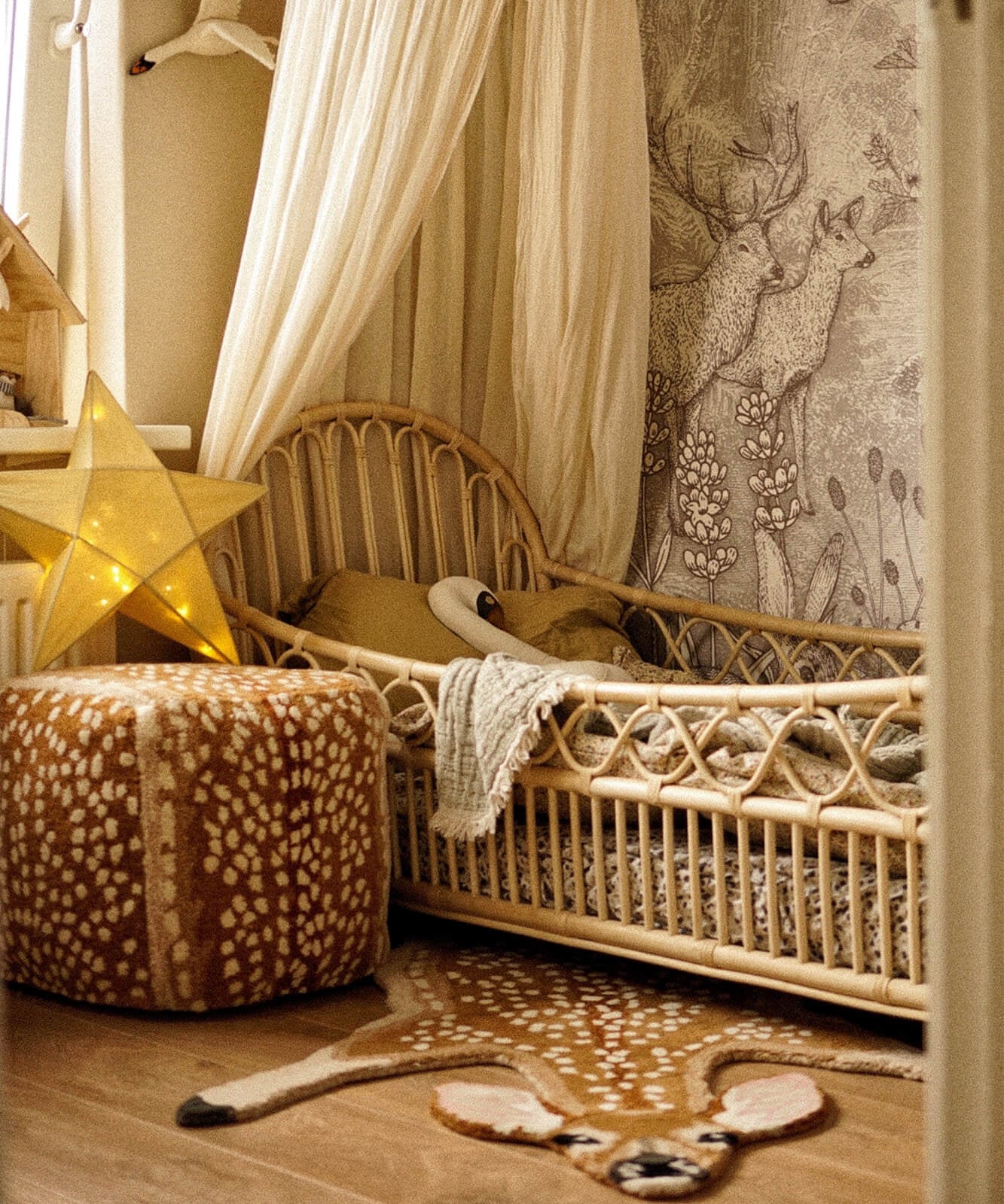 francis-fawn-rug-large-front-doing-goods-1.45.10.075.710.5-giselle1-web.jpg