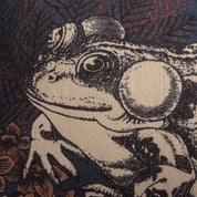 Frog Pillow