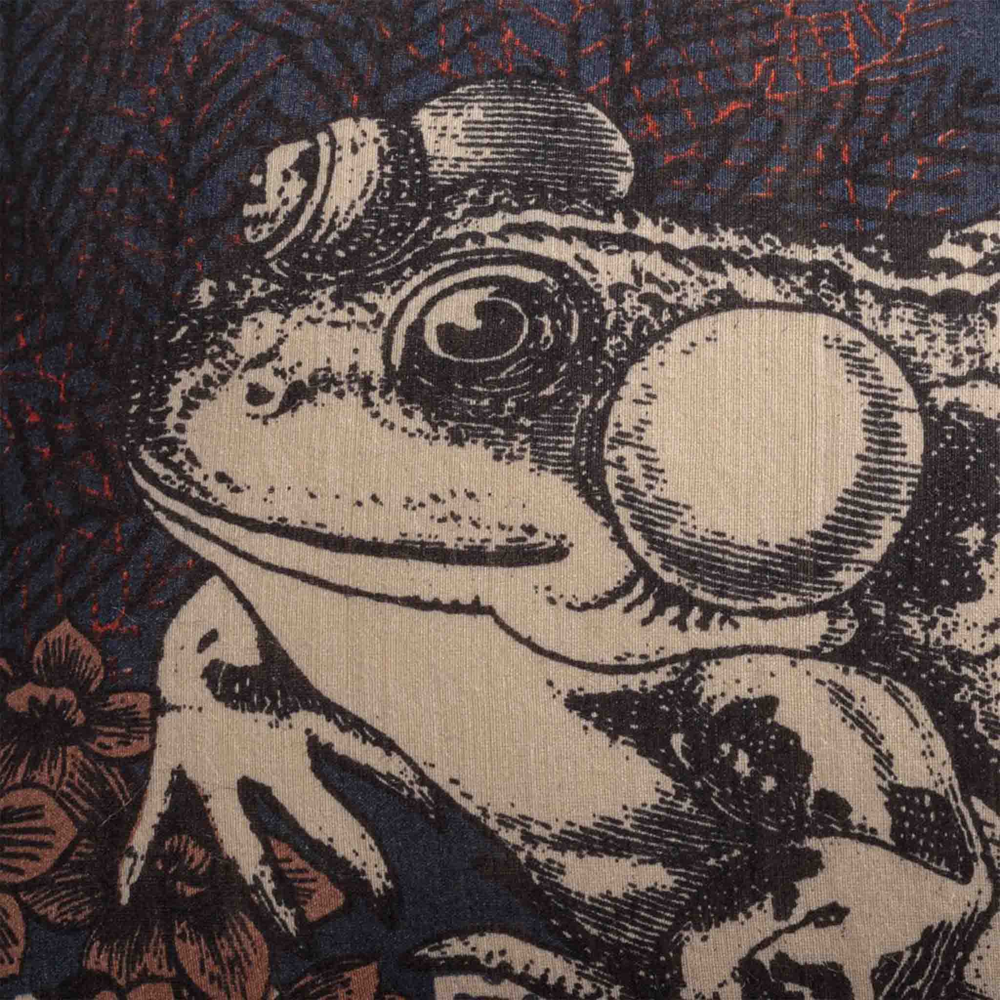 Frog Pillow
