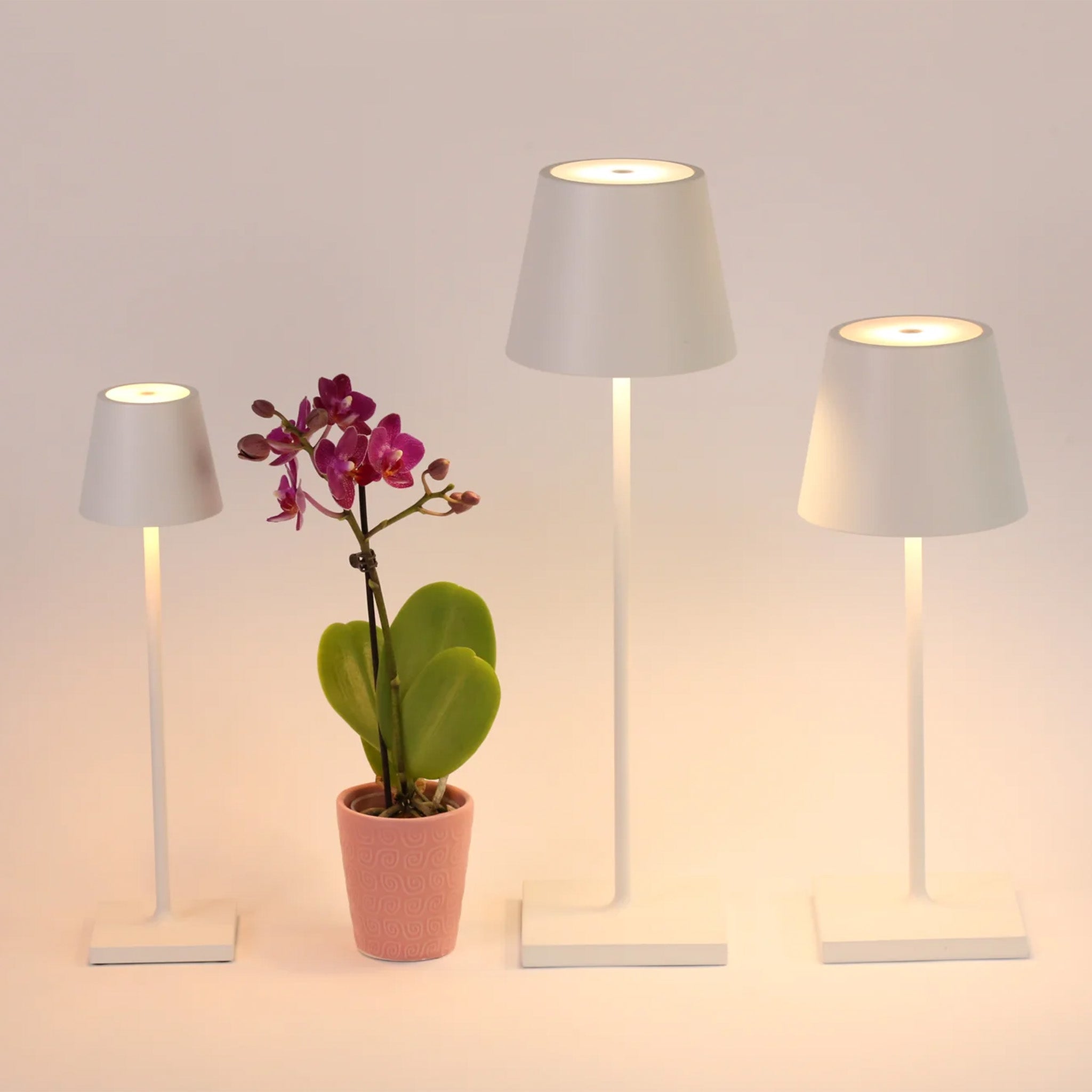 Poldina Micro Lamp Black