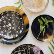 Horn Plate Medium