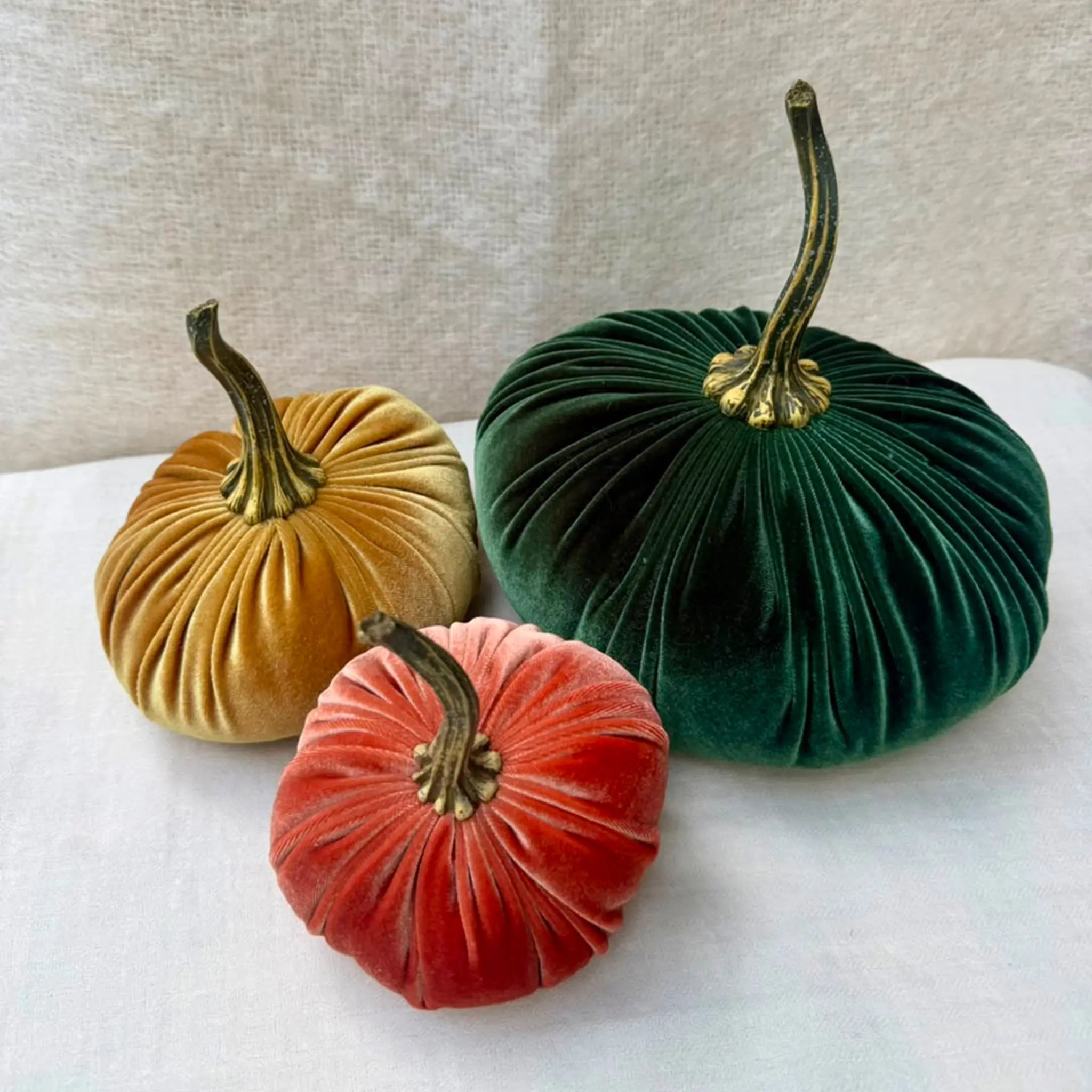 Aura Collective velvet pumpkins in an assortment of colors and sizes