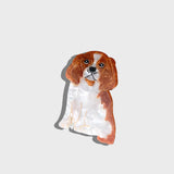 King Charles Claw