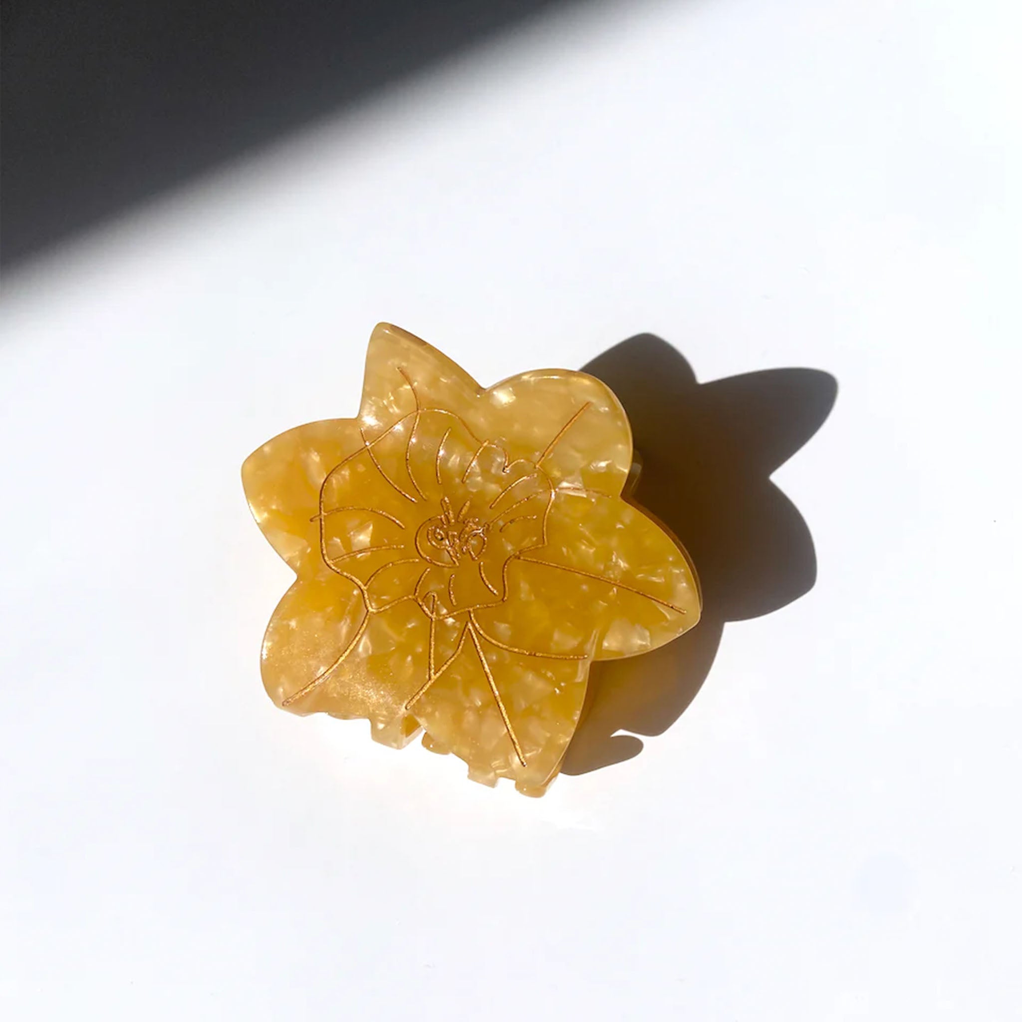 productphoto1.jpg