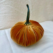 Large Velvet Pumpkin in Gold velvet with a curled stem