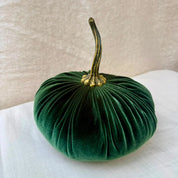 Large Velvet Pumpkin in Green velvet with a curled stem