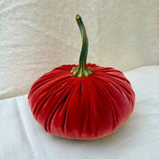 Large Velvet Pumpkin in Rust velvet with a curled stem