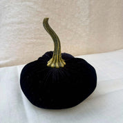Medium Velvet Pumpkin in Black velvet with a curled stem