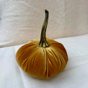 Medium Velvet Pumpkin in Gold velvet with a curled stem