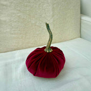 Small Velvet Pumpkin in Cherry velvet with a curled stem