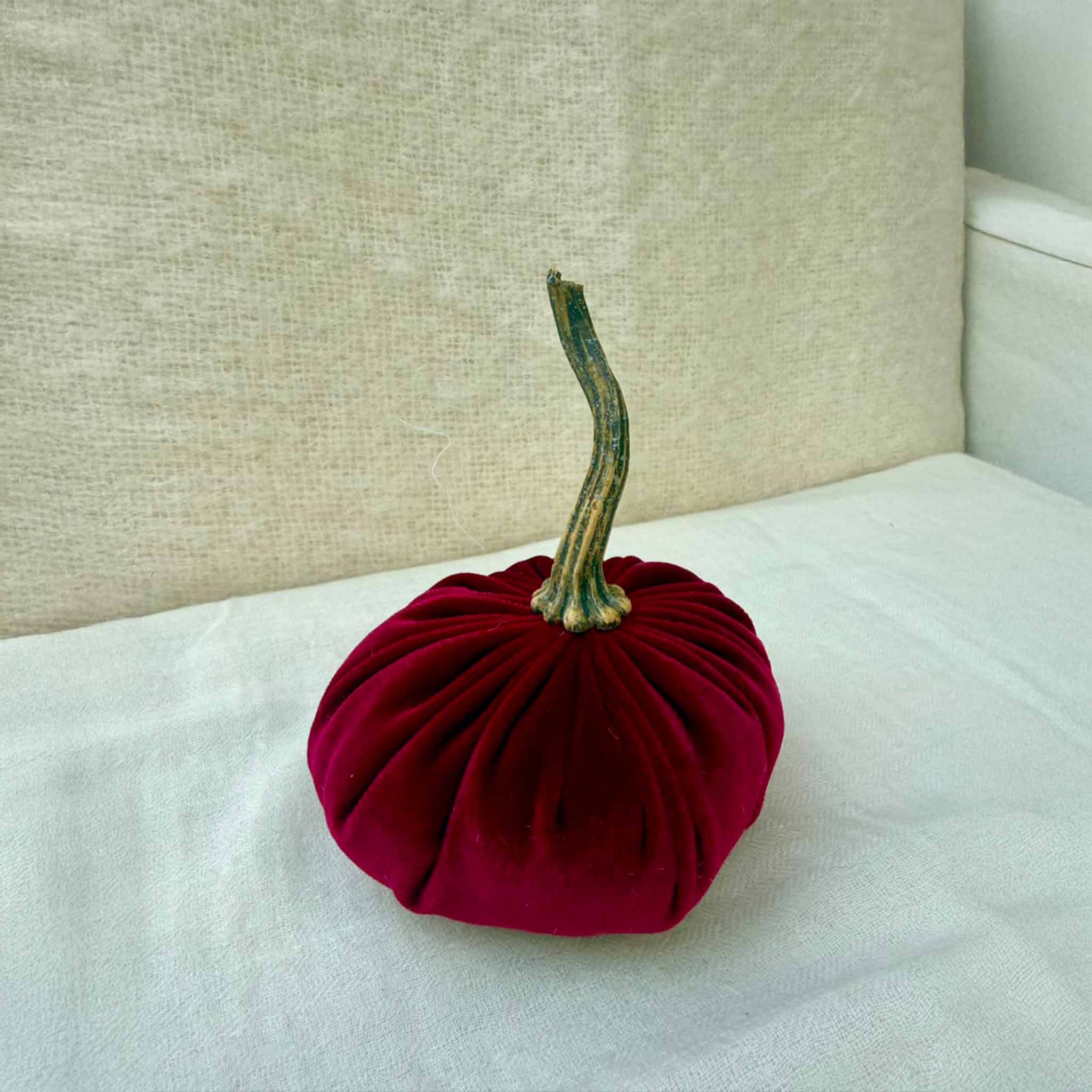 Small Velvet Pumpkin in Cherry velvet with a curled stem
