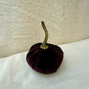 Small Velvet Pumpkin in Chocolate velvet with a curled stem