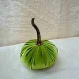 Small Velvet Pumpkin