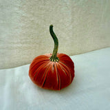 Small Velvet Pumpkin