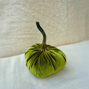 Small Velvet Pumpkin in Olive velvet with a curled stem