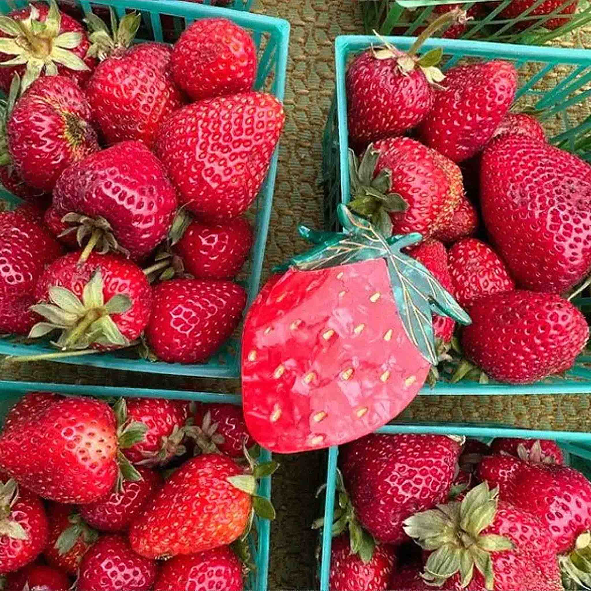 Strawberry Hair Clip